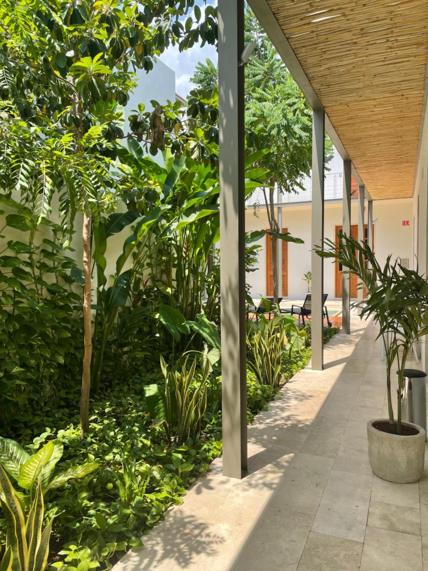 Villa Orquidea Boutique Hotel Mérida Exteriör bild